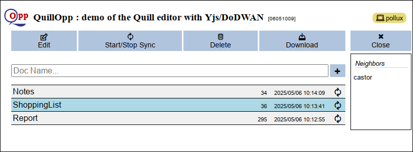 Document managing window